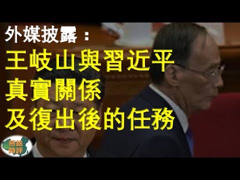 外媒：王岐山與習近平真實關係及復出後的任務